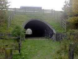 A66 pedestrian tunnel - Geograph - 262143.jpg